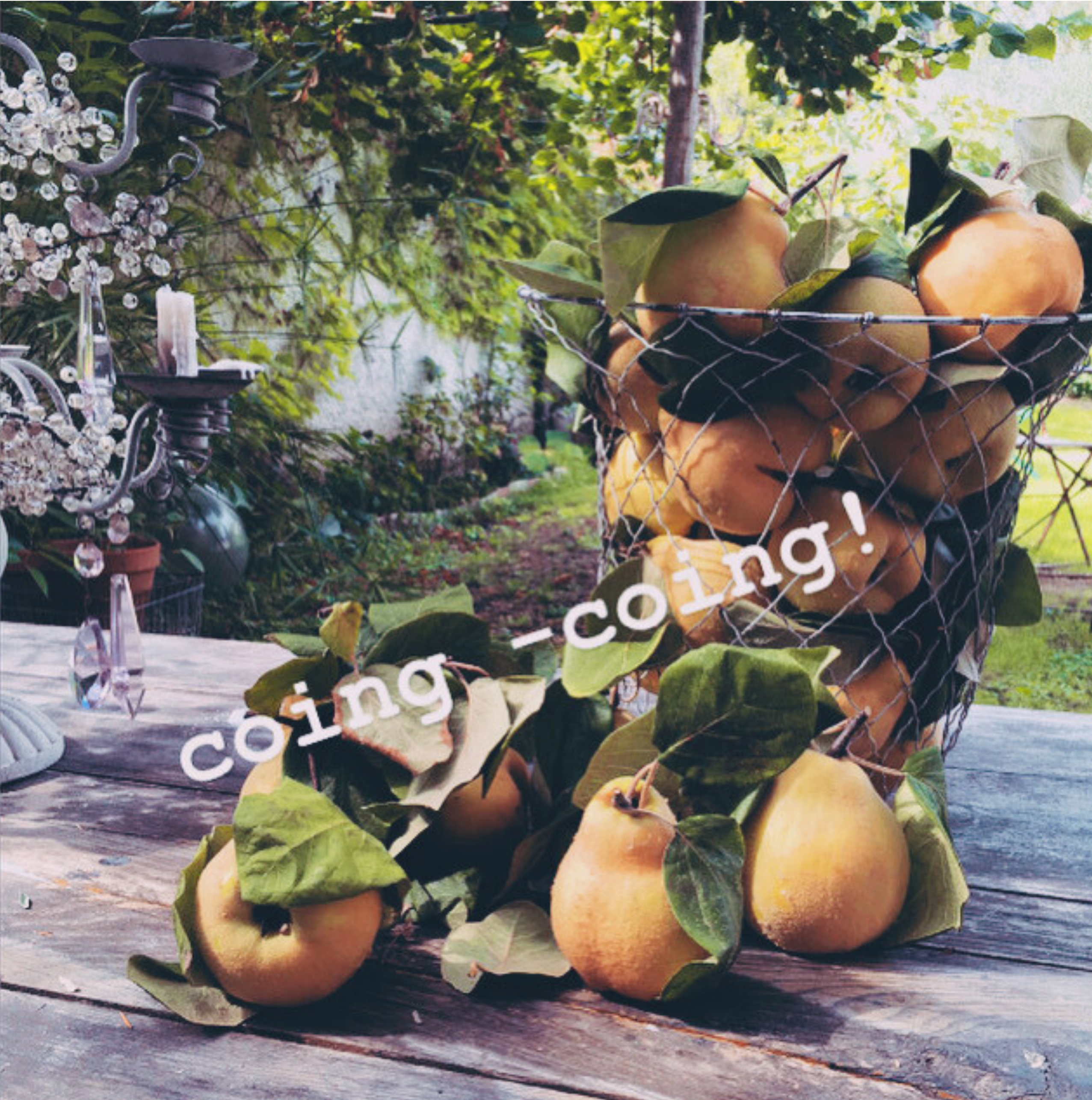 cabane_b